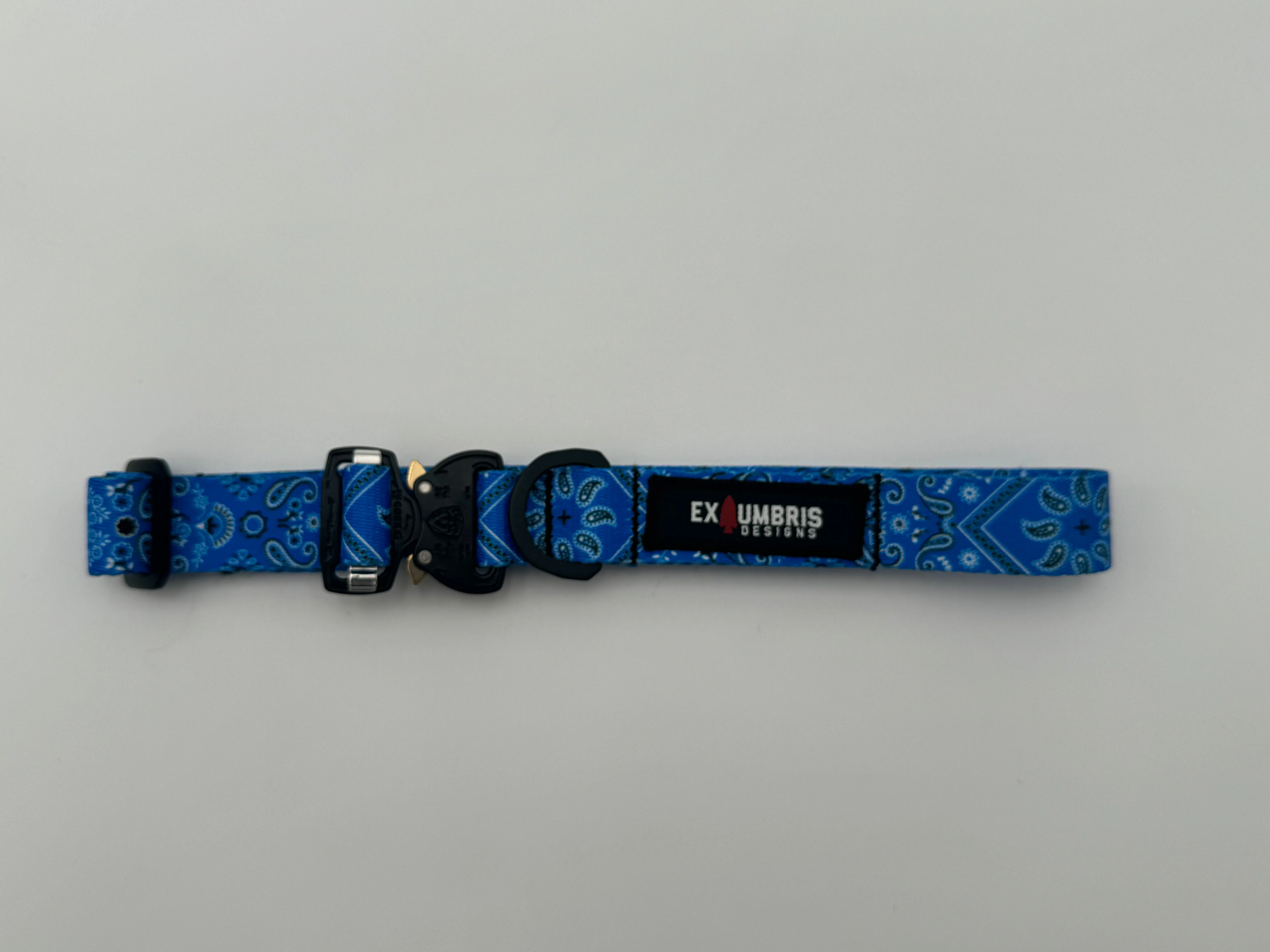 Cobra Buckle Dog Collar - Image 12