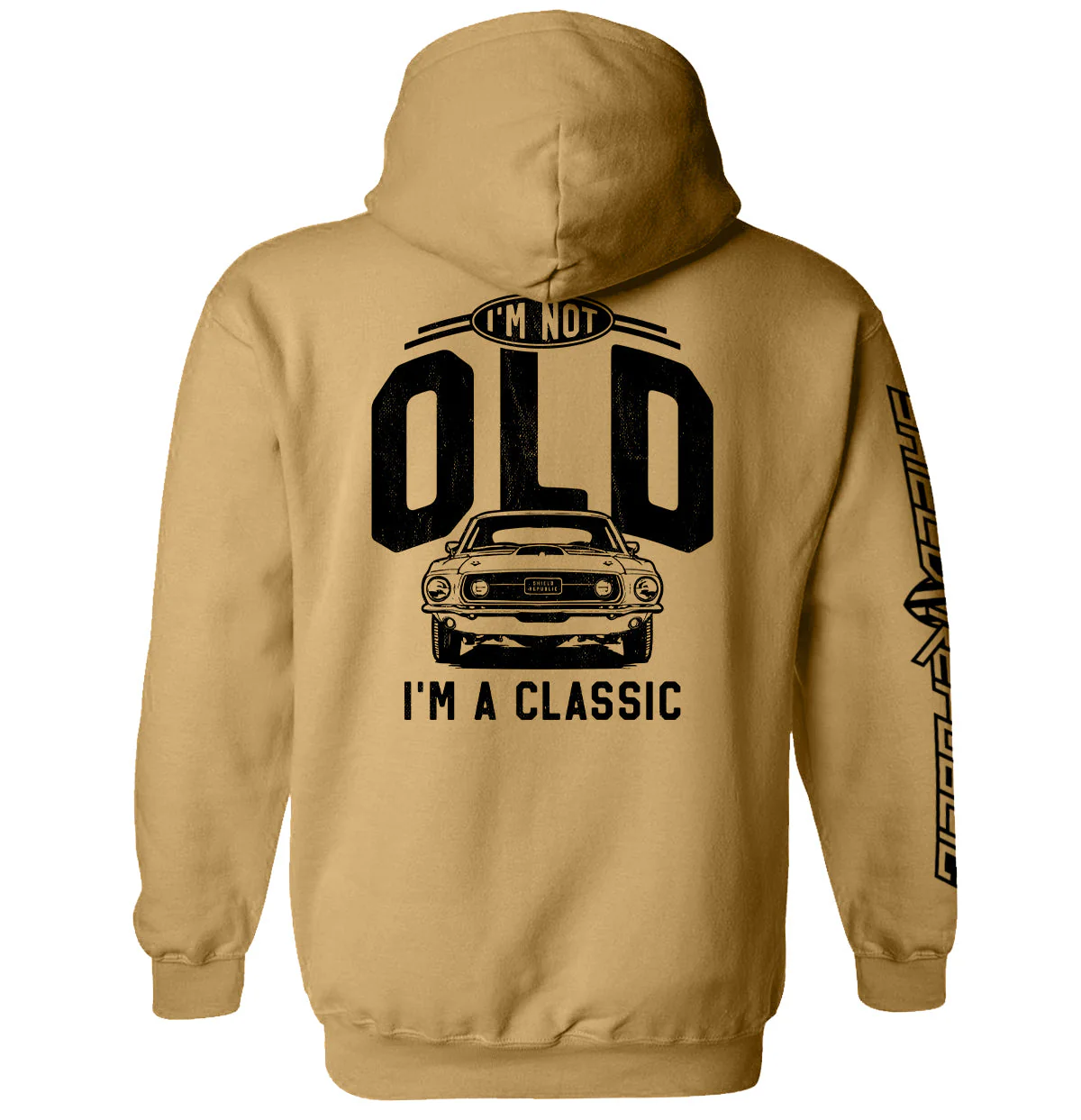 I'm Not Old I'm a Classic (69 Mustang) - Image 12