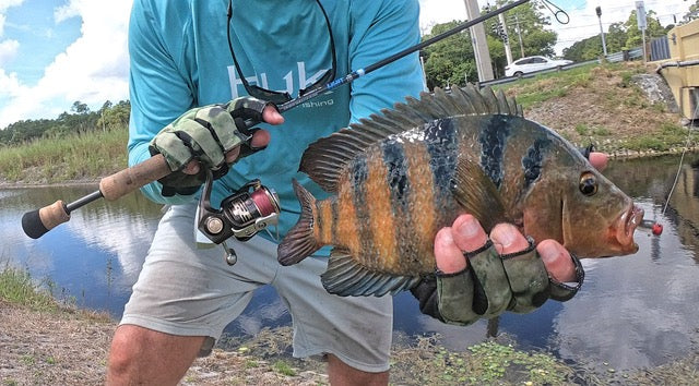 Ultra Light Fishing Rod - Image 16