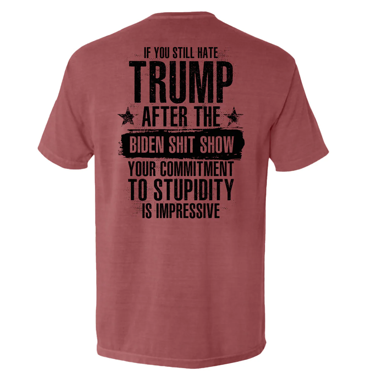 Your Commitment To Stupidity Is Impressive - Image 8