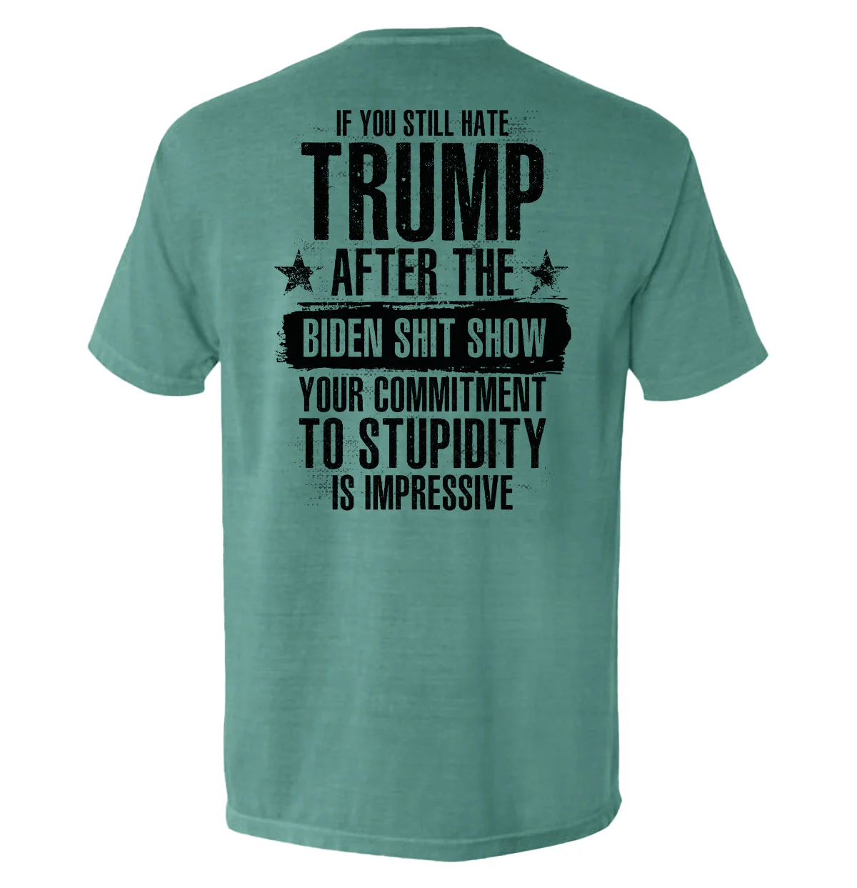 Your Commitment To Stupidity Is Impressive - Image 9